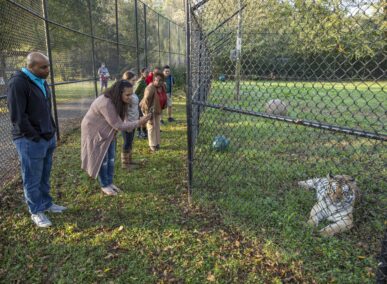 noah's ark animal sanctuary