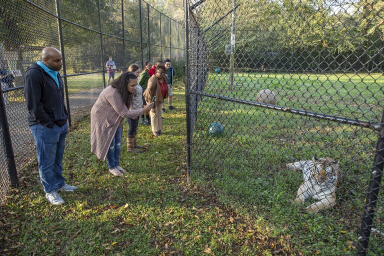 noah's ark animal sanctuary
