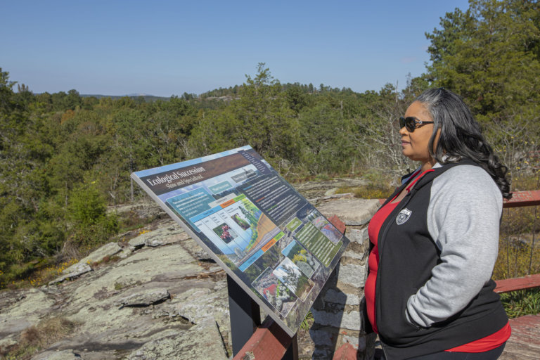 woman looking at park board