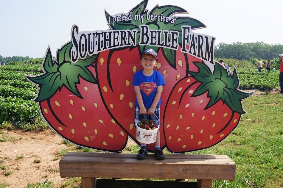 Southern Belle Farm Strawberry Sign