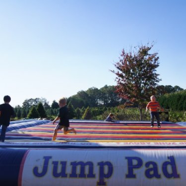 Jumping Pad at Yule Forest
