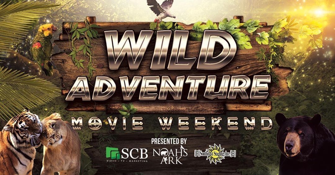 wild adventure movie night poster with wildlife