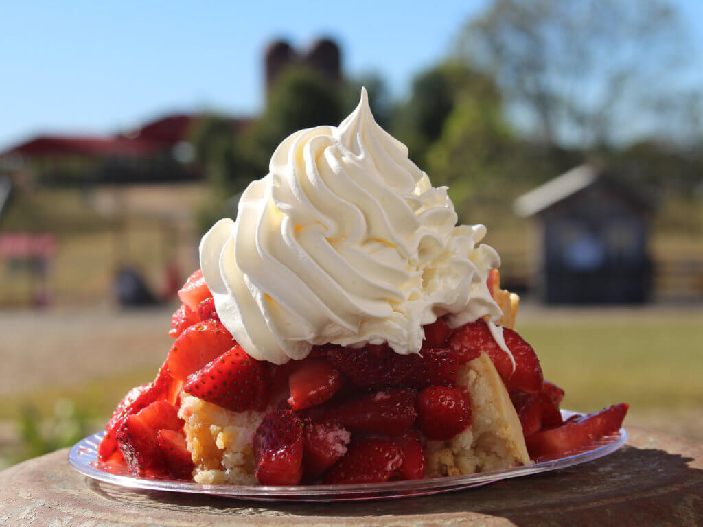 piece of strawberry shortcake with farm in background