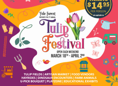 2023 Tulip Festival Yule Forest poster