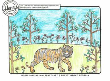 noah's ark coloring sheet