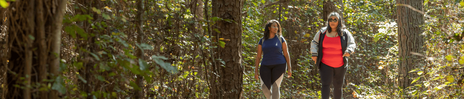 explore henry county