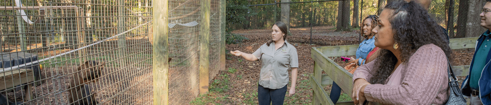 walk on the wildside tour