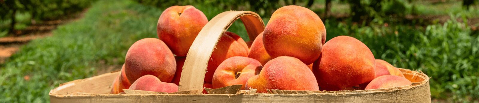 peach
