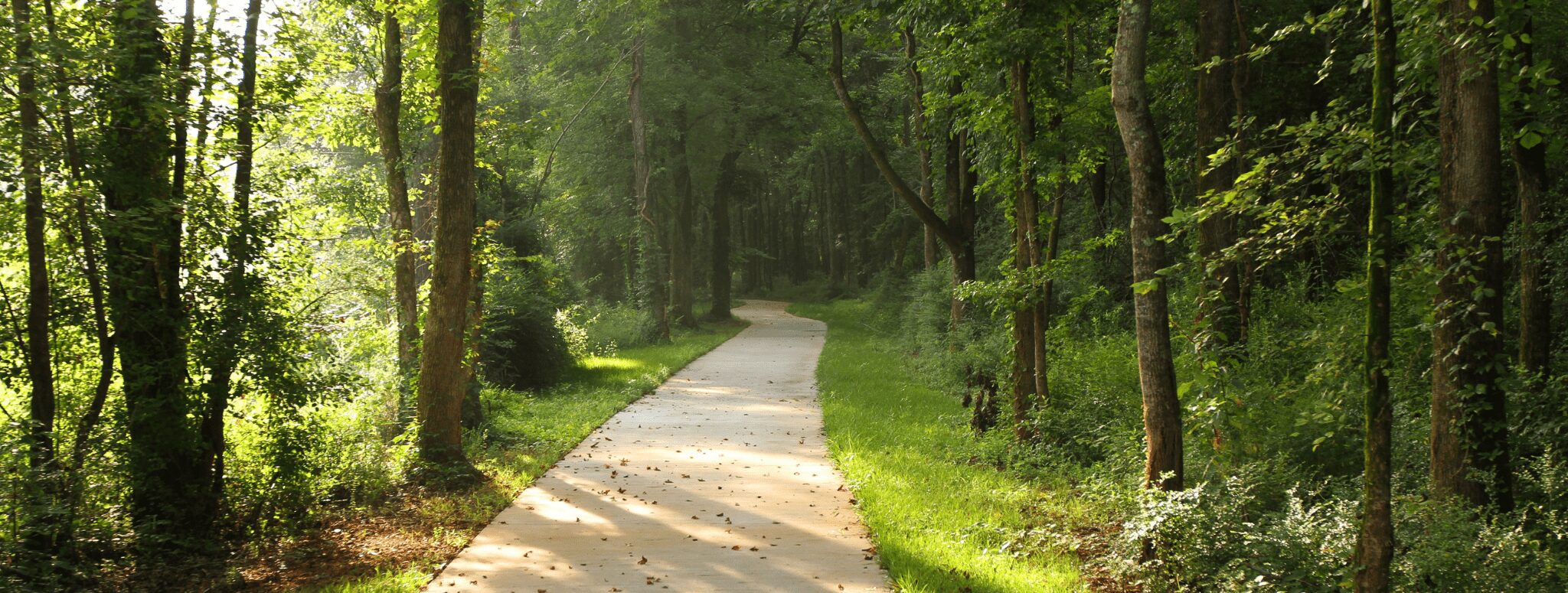 nash farm park