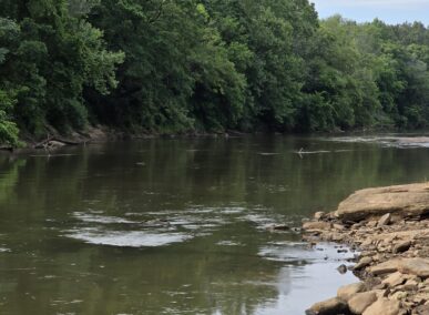Butler's Bridge Park